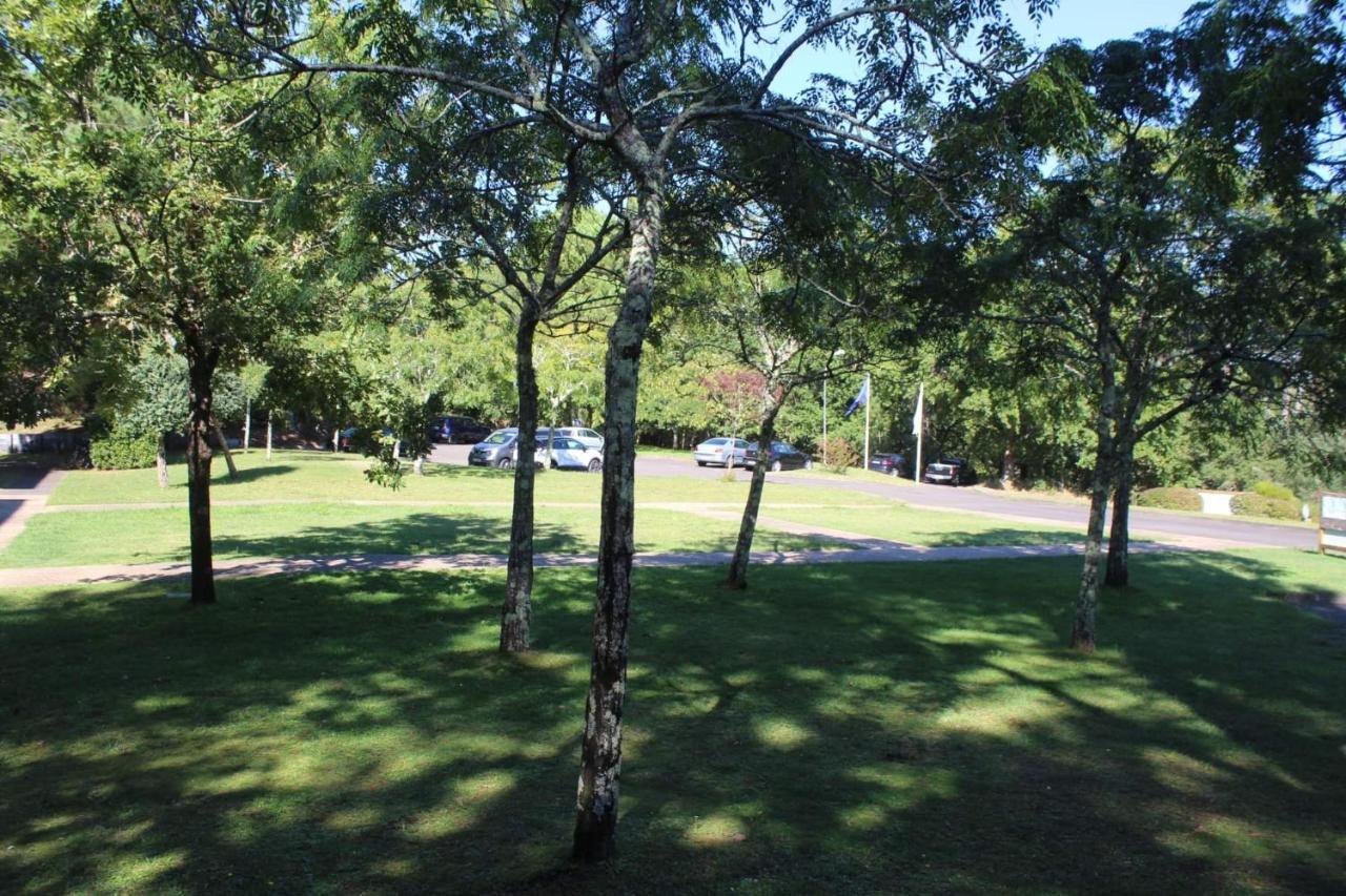 Residence Gascogne \ Appartement 116 Biscarrosse Exteriör bild